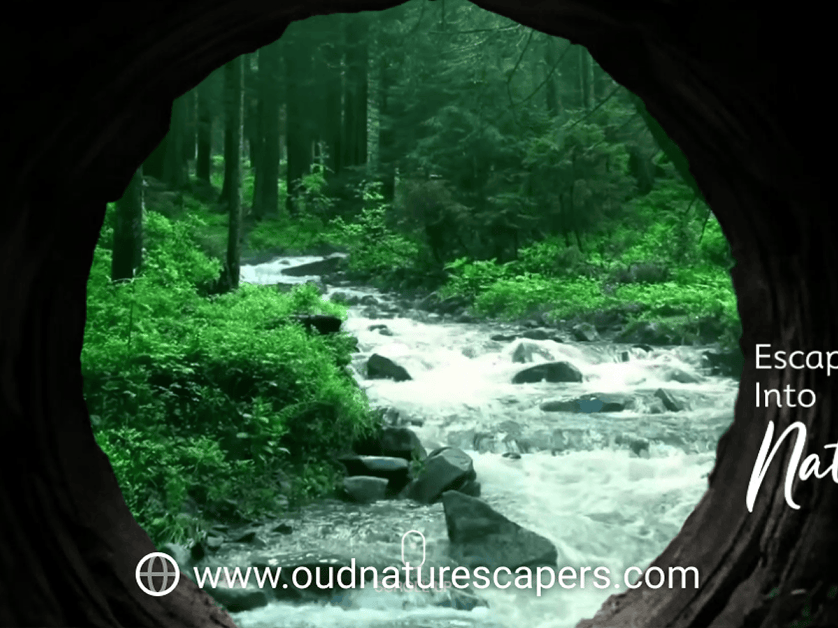 OUD Naturescapes website preview