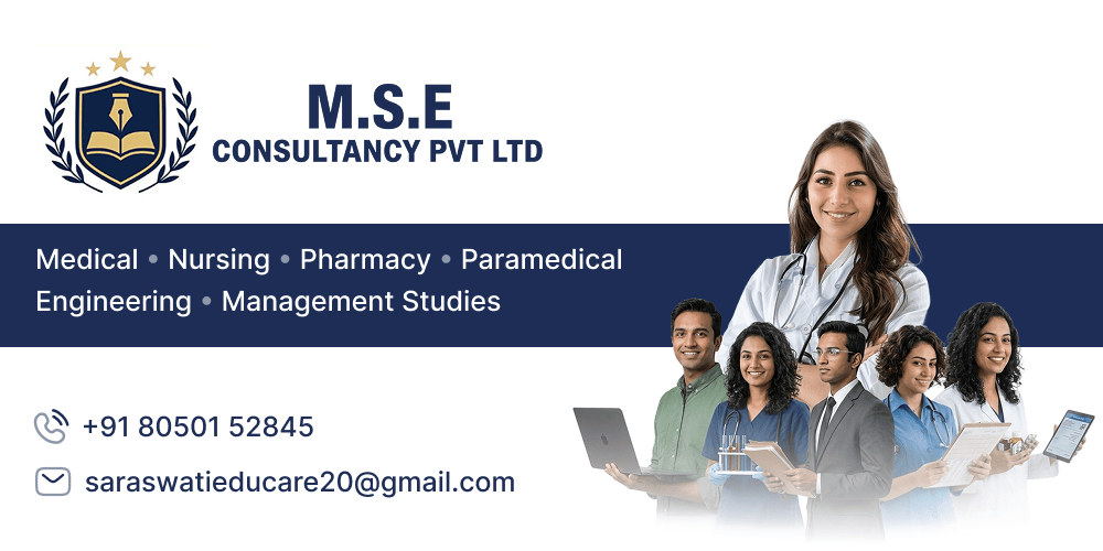 MSE Consultancy website preview