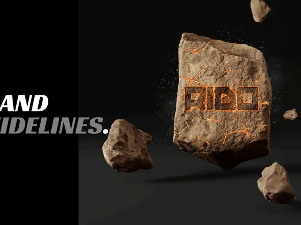 RIDO brand guidelines preview